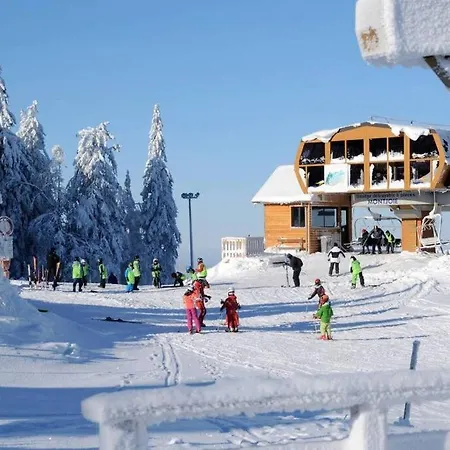 Appartement Joli Avec Terrasse La Cigale 6 A 8 Personnes Orbey