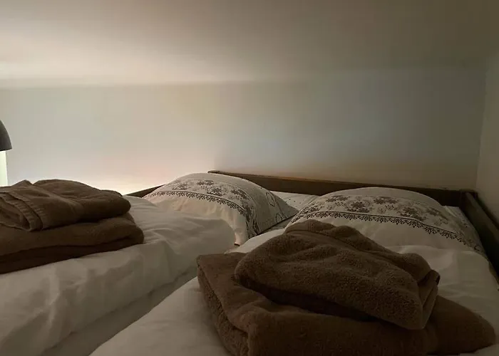 Joli Avec Terrasse La Cigale 6 A 8 Personnes * Orbey